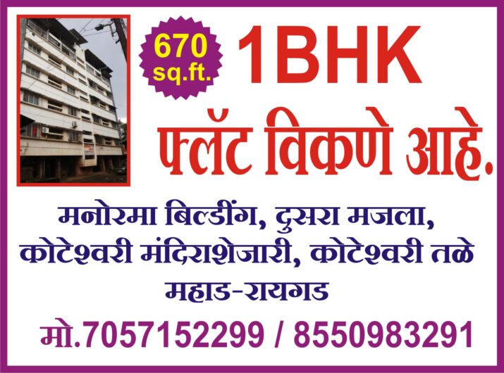 Flat 1 BHK Sale