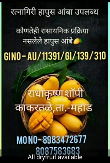 Radha krushna shopi hapus Aamba aplenso mango